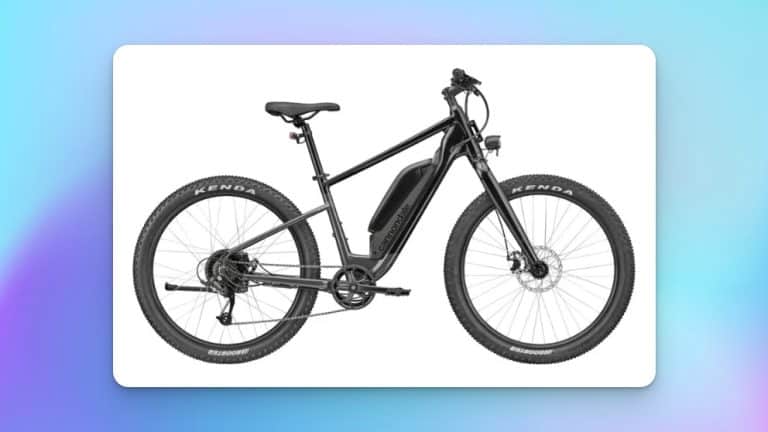 Cannondale Adventure Neo Allroad